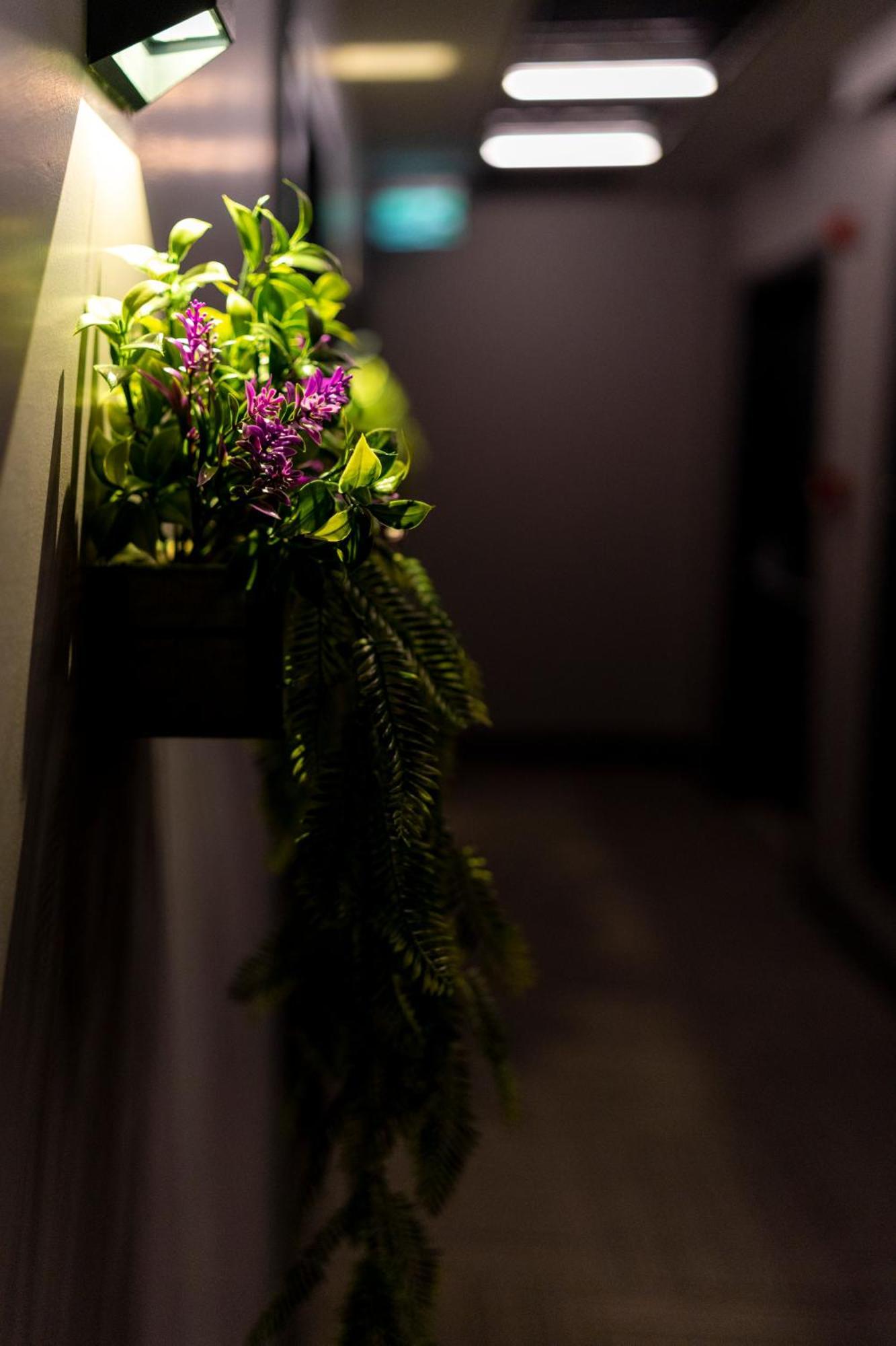 Brandroom Hotel Istanbul Ngoại thất bức ảnh